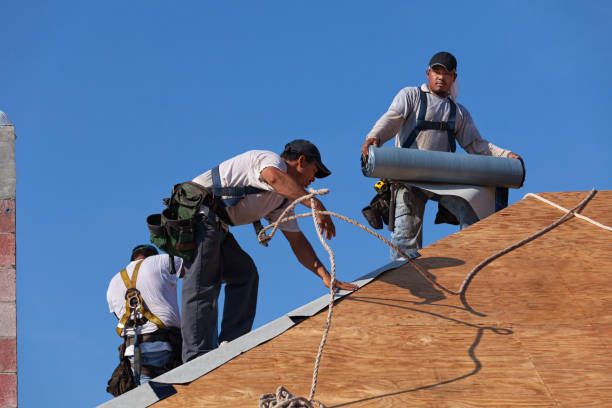 Best Shingle Roofing Installation  in USA